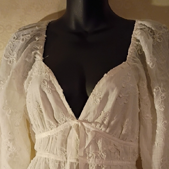 Off  White Lace / Embroidery Long Sleeve Dress - Picture 3 of 11